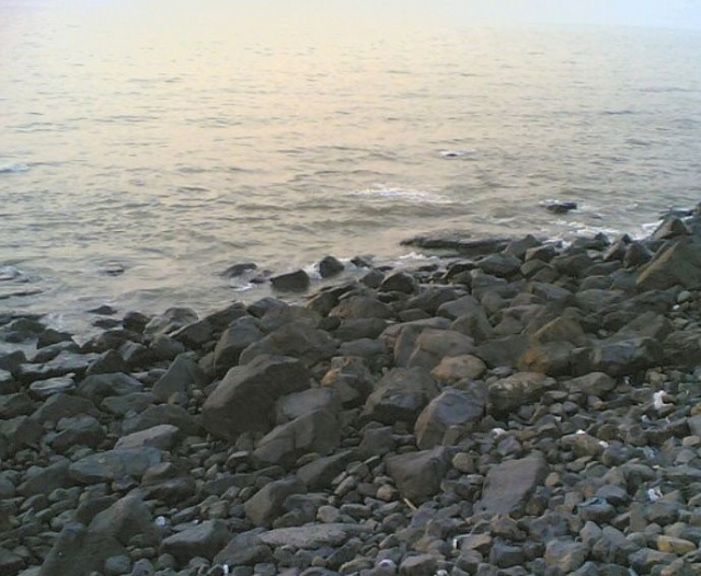 Costa rocosa